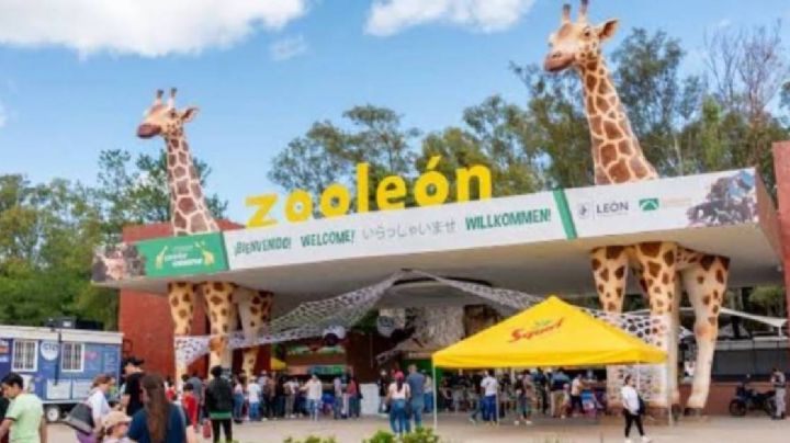 Auditores levantaron 33 observaciones al Zoológico de León