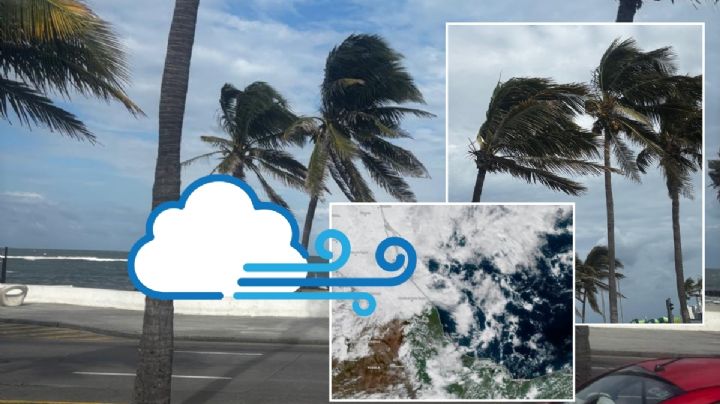 Frente Frío 21 en Veracruz: Estas son las rachas de Norte más fuerte hoy lunes 15 de diciembre