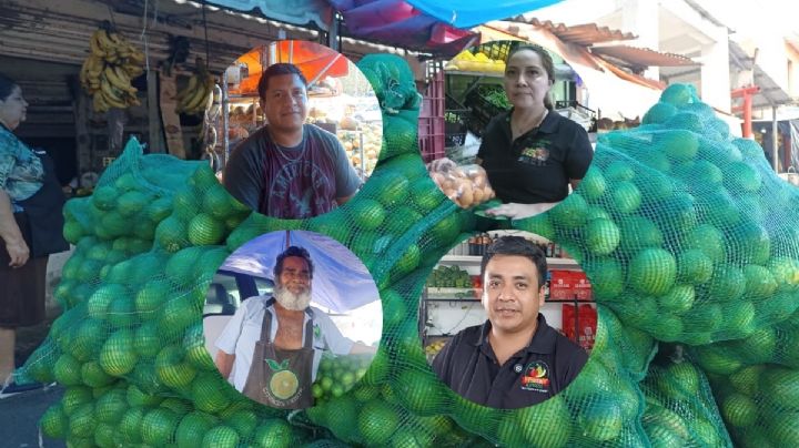 El limón más barato de México afecta a productores: locatarios del mercado Malibrán en Veracruz