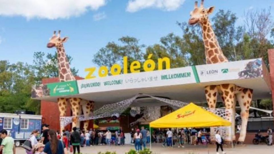 Las 33 observaciones se hicieron en una auditoría en 2023-2024.