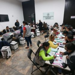 La observación electoral en el marco de la elección del Poder Judicial II