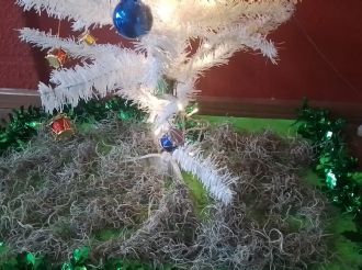 Aseguran cargamento de heno y musgo en Hidalgo