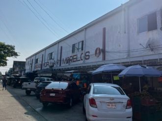 Investigan envenenamiento masivo de gatos en el mercado Morelos de Coatzacoalcos