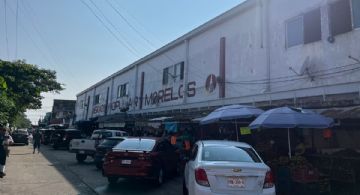 Hallan al menos 10 gatos muertos por presunto envenenamiento en mercado de Coatzacoalcos, Veracruz