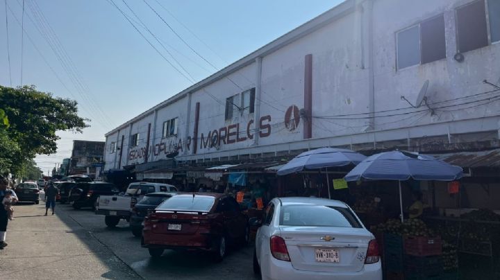 Hallan al menos 10 gatos muertos por presunto envenenamiento en mercado de Coatzacoalcos, Veracruz