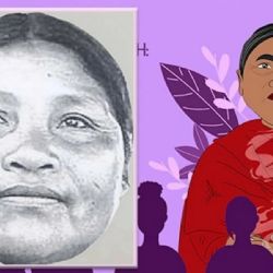 De la impunidad institucional a la justicia interamericana: el caso Ernestina Ascencio