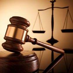 Testigo protegido y criterio de oportunidad