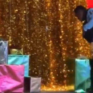 Rata se cuela en árbol de Navidad de Puebla; policías la echan a patadas