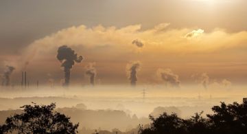 Cuando respirar es un derecho: los estados no pueden relajar las normas de calidad del aire