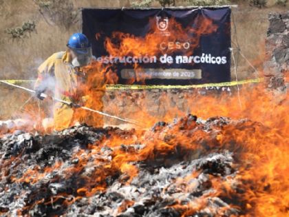 CDMX destruye 540 mil dosis de drogas en operativo histórico