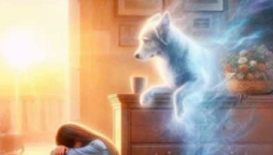 La Navidad sin ellos: cómo enfrentar la pérdida de una mascota en diciembre