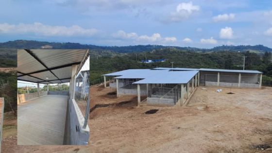 Este será el nuevo albergue Ada Azul, donde recibirán a michis y lomitos de Xalapa