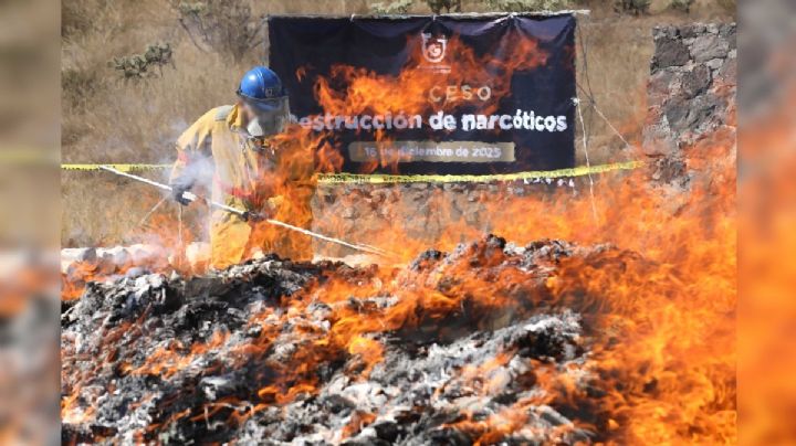 CDMX destruye 540 mil dosis de drogas en operativo histórico