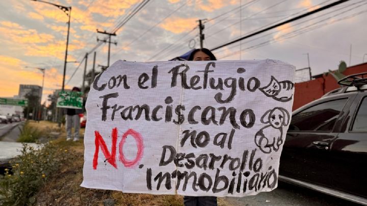 Disputa por predio en Santa Fe deja en incertidumbre a más de mil perros y gatos