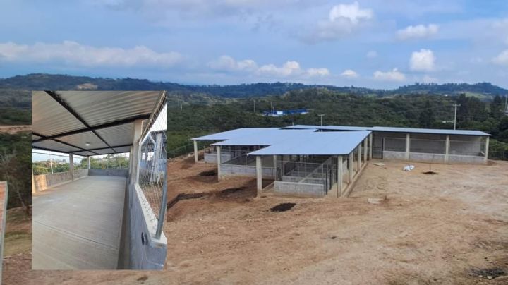 Este será el nuevo albergue Ada Azul, donde recibirán a michis y lomitos de Xalapa