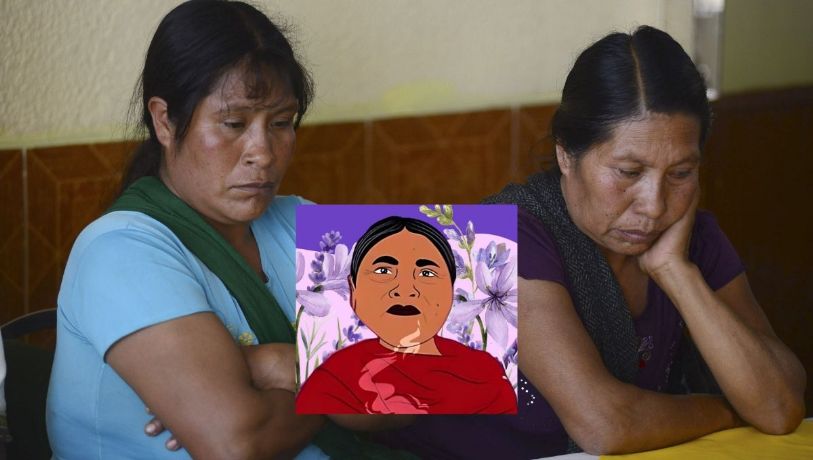 Tarde, vemos un poco de justicia: familia de Ernestina Ascencio tras fallo de la CIDH