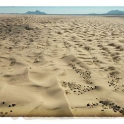 Samalayuca desde el aire: primeras huellas de mi vida en Ciudad Juárez