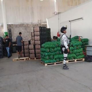 Plan Michoacán: Detienen a 5 y aseguran armas, explosivos y vehículos