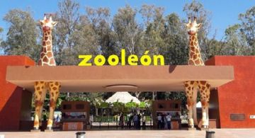 Confirmado: cierran el Zoológico de León por órdenes de Profepa