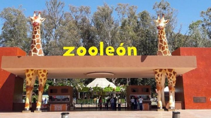 Confirmado: cierran el Zoológico de León por órdenes de Profepa