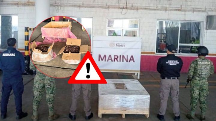 Aseguran 96 kg de droga psicodélica que iba a ser exportada del puerto de Veracruz