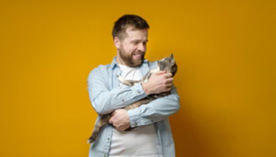 ¿Por qué los gatos les maúllan más a los hombres que a las mujeres? Esto dice la ciencia