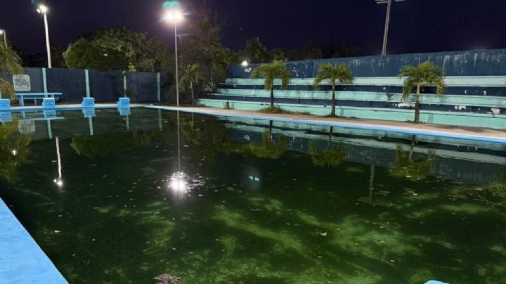 Tememos enfermarnos: vecinos denuncian abandono de la alberca del Campa del puerto de Veracruz