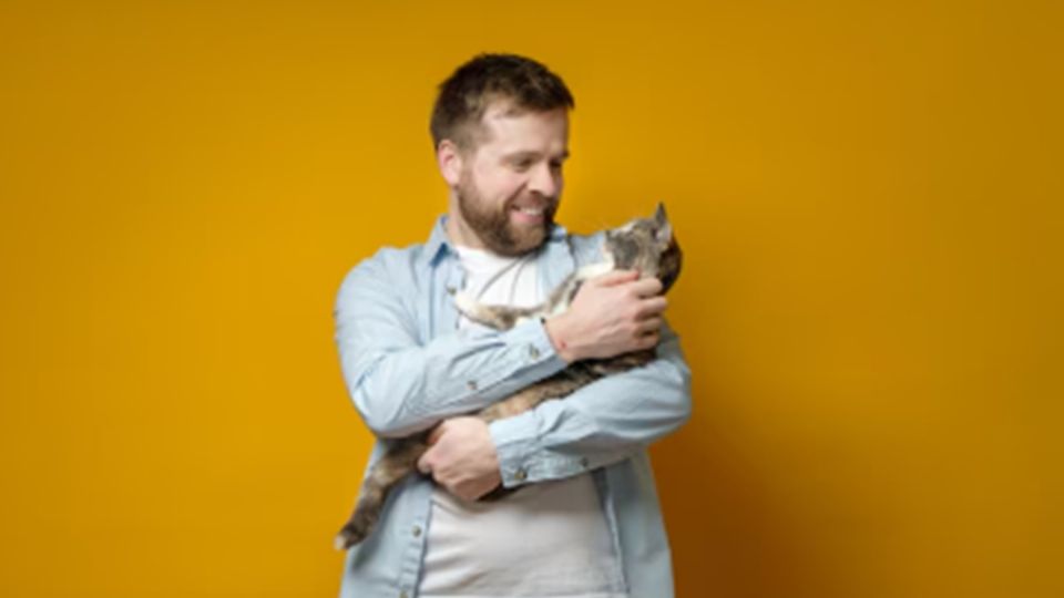 Continúa siendo objeto de análisis