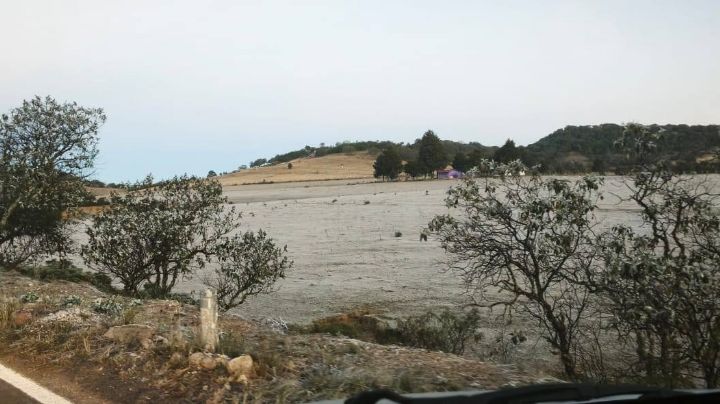 Llega la nieve a Guanajuato: municipios amanecen bajo la escarcha