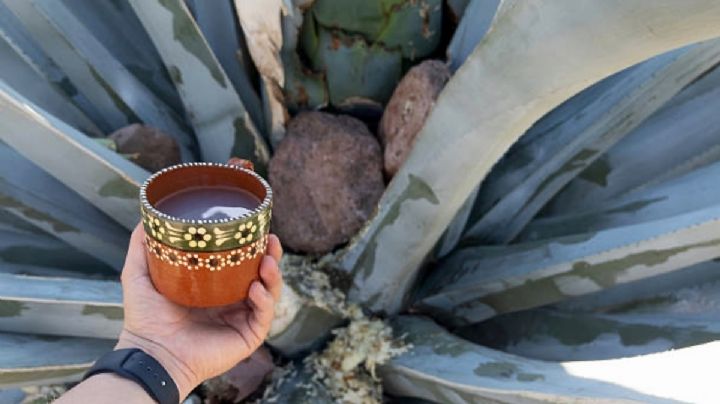 Estas son las tres rutas de turismo rural comunitario que no te debes perder en Epazoyucan