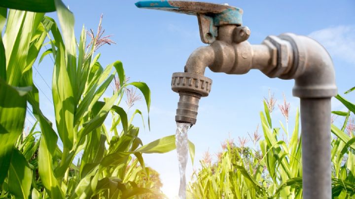 Inversión millonaria para asegurar abasto de agua en el campo hidalguense; de esto trata