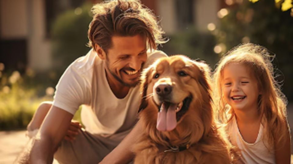 Descubre qué dicen los especialistas