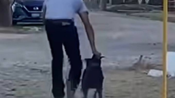 Empresa San Miguel de Origen bajo la lupa por presunto "exterminio canino"