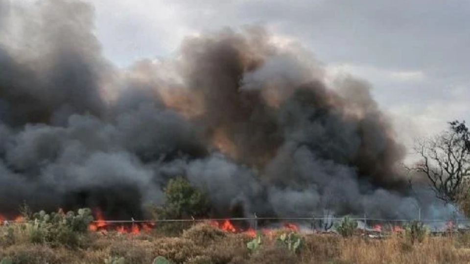 Profepa clausura e impone medidas urgentes tras detectar manejo indebido de residuos peligrosos