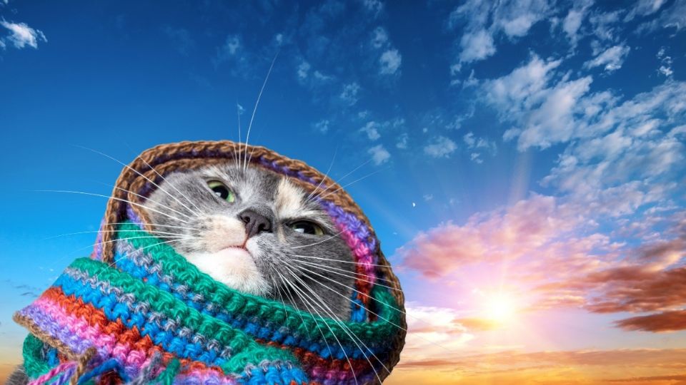 Consulta cuál es el pronóstico del clima en Hidalgo, para este fin de semana