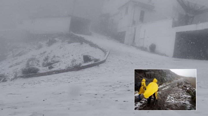 VIDEO: Cae la primera nevada del invierno en el Cofre de Perote hoy 26 de diciembre