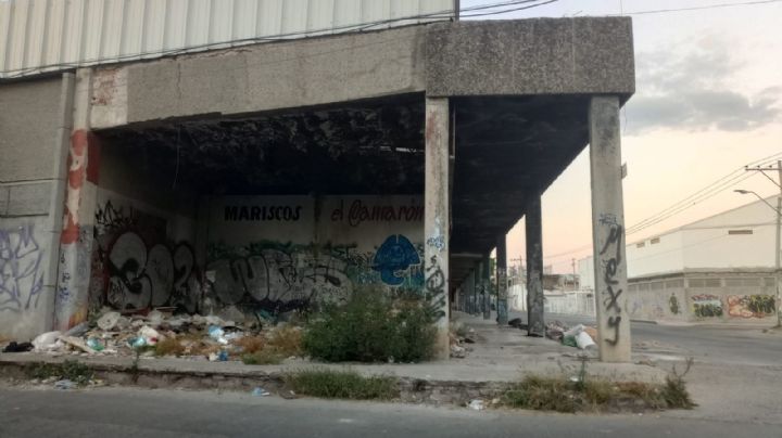 Avientan perros muertos en la antigua plaza San Miguel /VIDEO