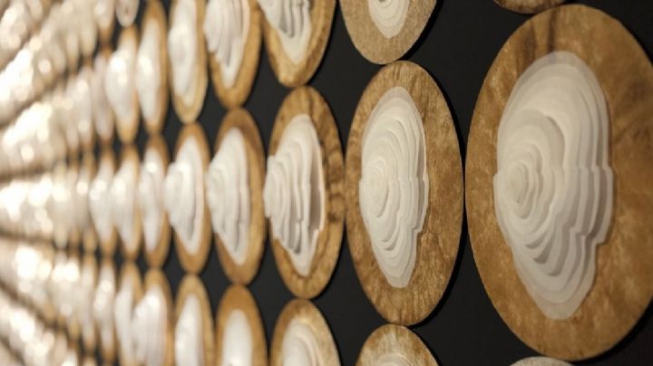 Historia y arte visual contemporáneo como opción en temporada decembrina