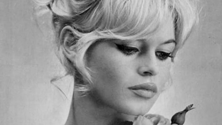 Muere la actriz y cantante Brigitte Bardot, icono del cine francés, a los 91 años