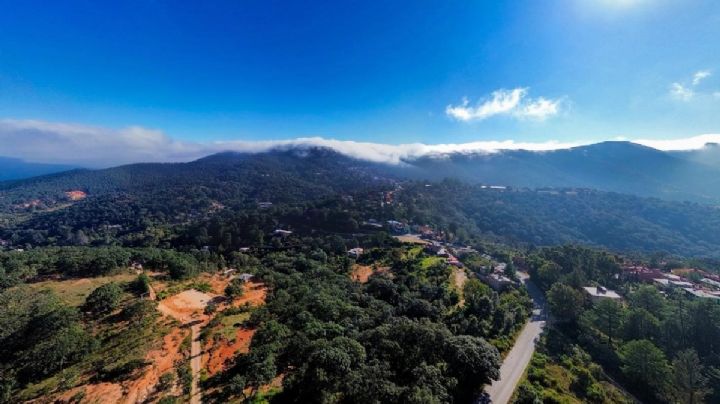 Llega frío de 3 grados a Guanajuato este 30 de diciembre y heladas en las sierras