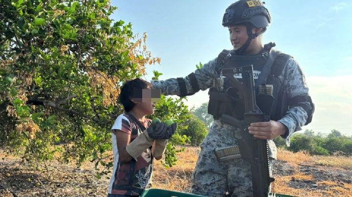 Los niños jornaleros en Michoacán trabajan bajo resguardo militar en Apatzingán