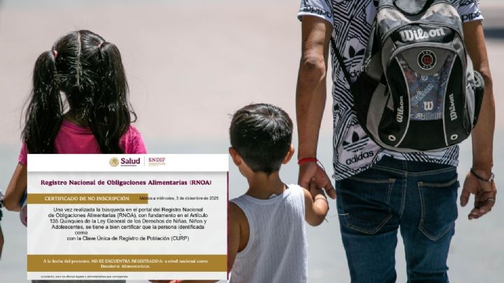 Deudores alimentarios Veracruz: cómo buscarlos en el RNOA y obtener el certificado