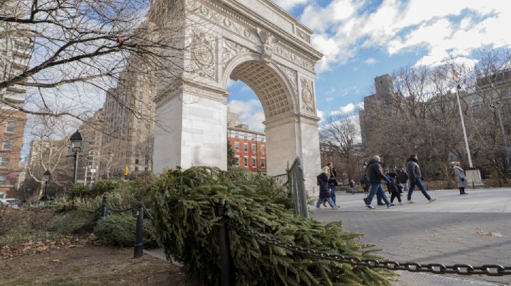 Así recicla Nueva York los árboles de Navidad para alimentar sus parques