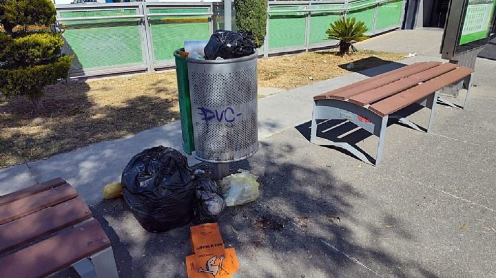 Falta de cultura y mal uso de contenedores agravan problema de basura en zonas de Pachuca