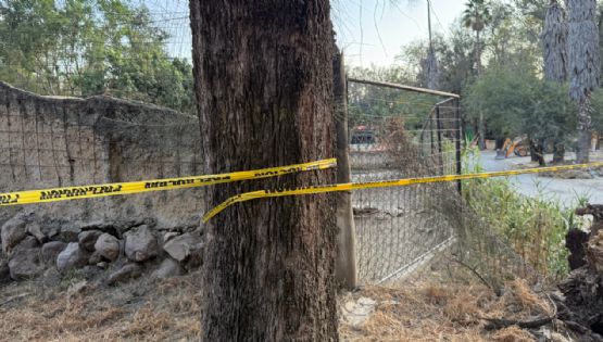 La escena del crimen: Aquí fue el corral donde la jauría de perros mató a 24 borregos