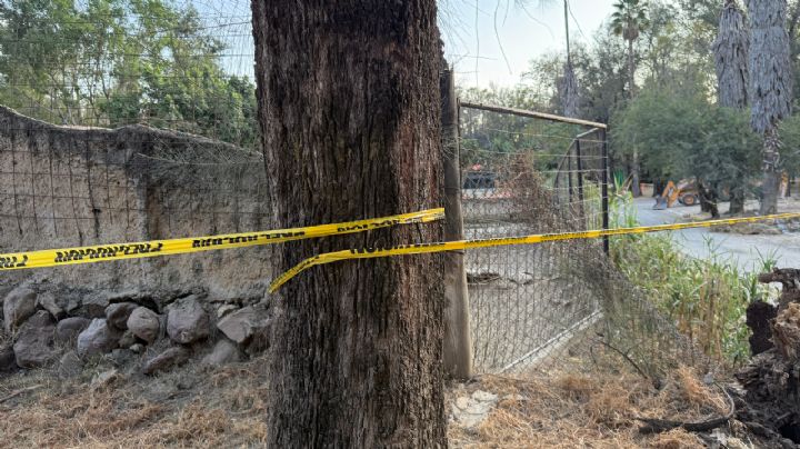 La escena del crimen: Aquí fue el corral donde la jauría de perros mató a 24 borregos