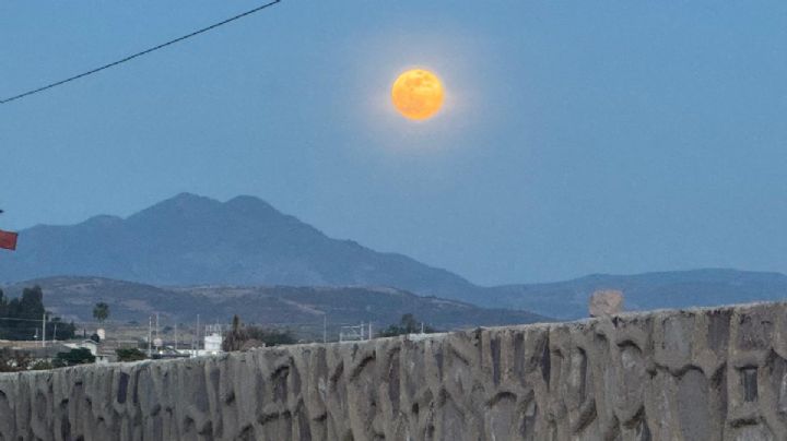 ¿Ya viste esta noche la enorme Luna en el cielo de León?