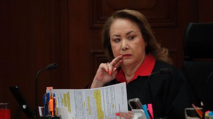 Desechan proyecto de Yasmín Esquivel que limitaba acceso al amparo a ambientalistas