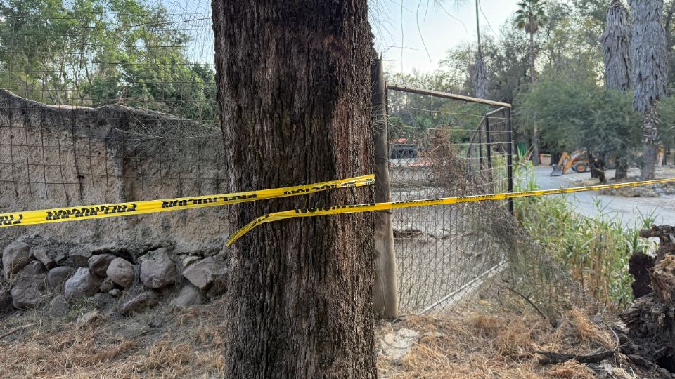 Corral de Borregos en el Zoológico de León