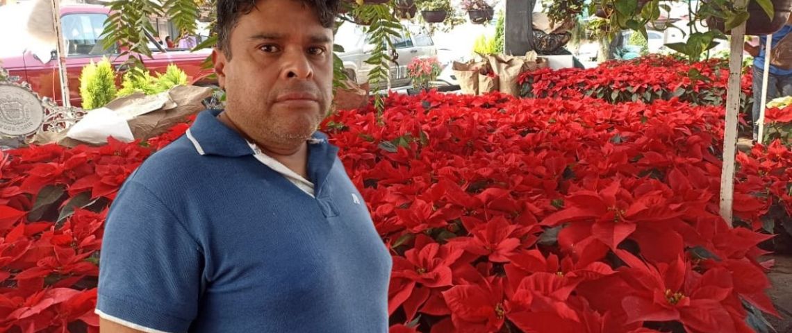 De la sierra poblana al puerto de Veracruz: Froylan Negrete  y su negocio de nochebuenas